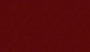 bg_img002