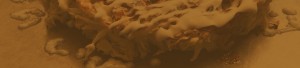 bg_img004